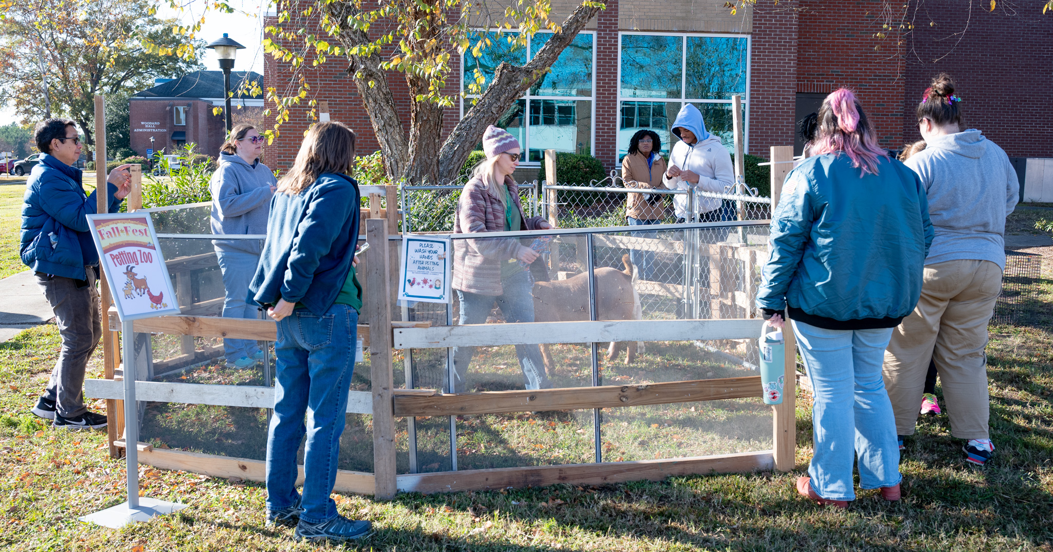 Fall Fest:  Petting Zoo