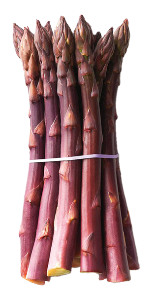 Purple Asparagus