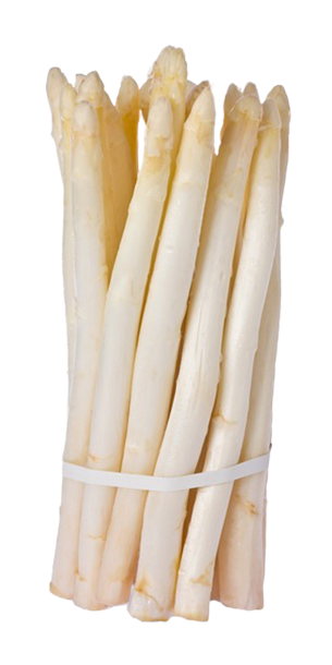 White Asparagus