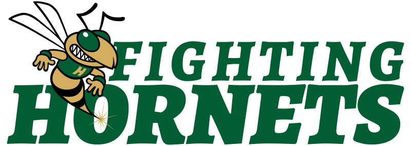 Fighting Hornets